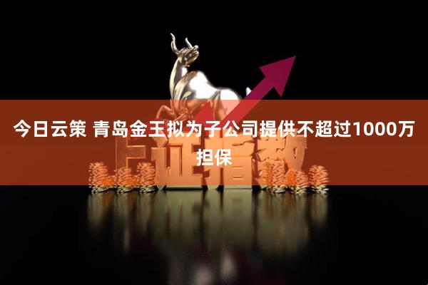 今日云策 青岛金王拟为子公司提供不超过1000万担保