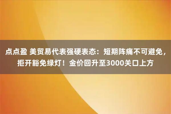 点点盈 美贸易代表强硬表态：短期阵痛不可避免，拒开豁免绿灯！金价回升至3000关口上方