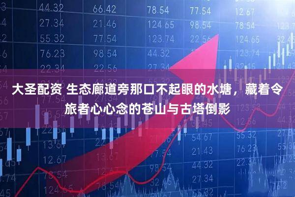 大圣配资 生态廊道旁那口不起眼的水塘，藏着令旅者心心念的苍山与古塔倒影